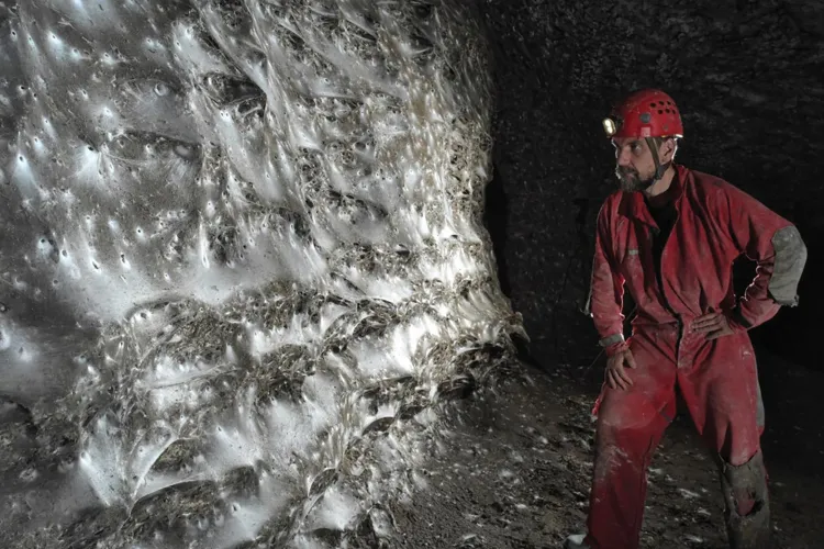 Spider Megacity Discovered in Sulfur Caves on Balkan Border